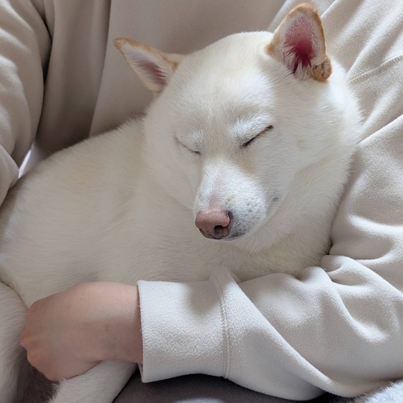 Meet your Posher, Dani - Picture 1 of 1